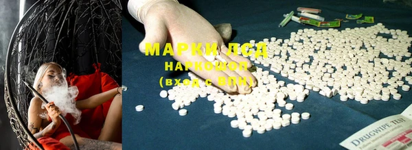 PSILOCYBIN Магас