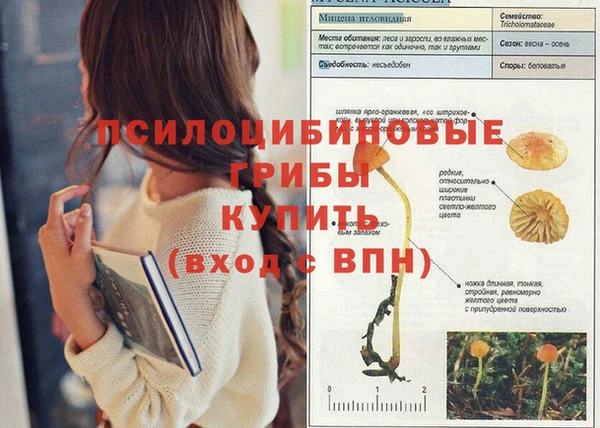 PSILOCYBIN Магас