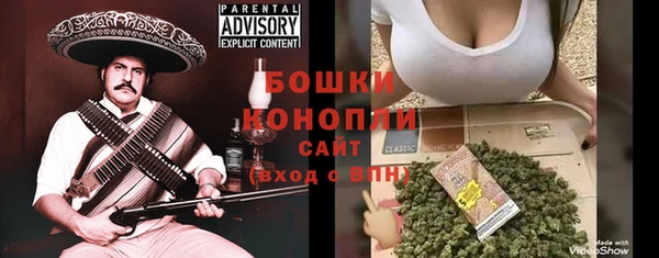 PSILOCYBIN Магас